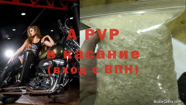 прущий лед Аркадак