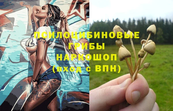 прущий лед Аркадак